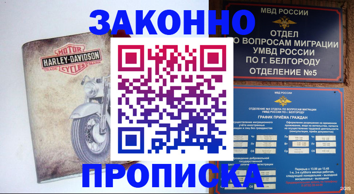 прописка для школы в Большом Камне